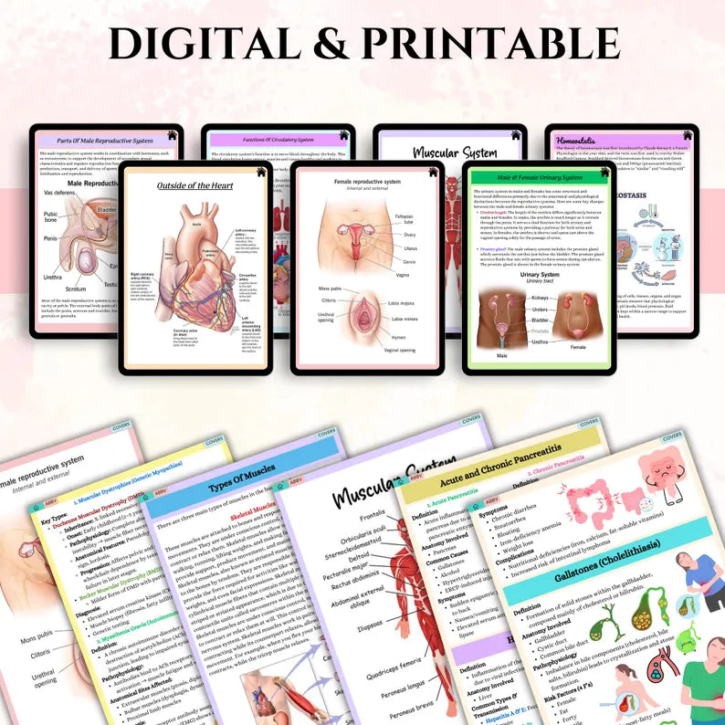 21-day challenge to learn about all the organs of the human body