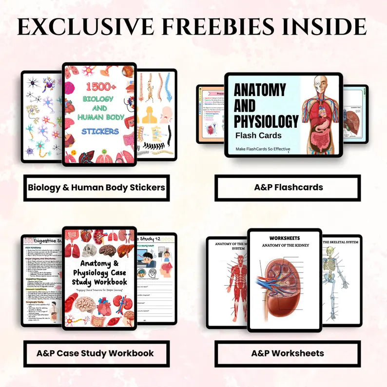 21-day challenge to learn about all the organs of the human body